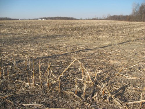 Property photo 26 - 44 Acres Offered in 3 Tracts